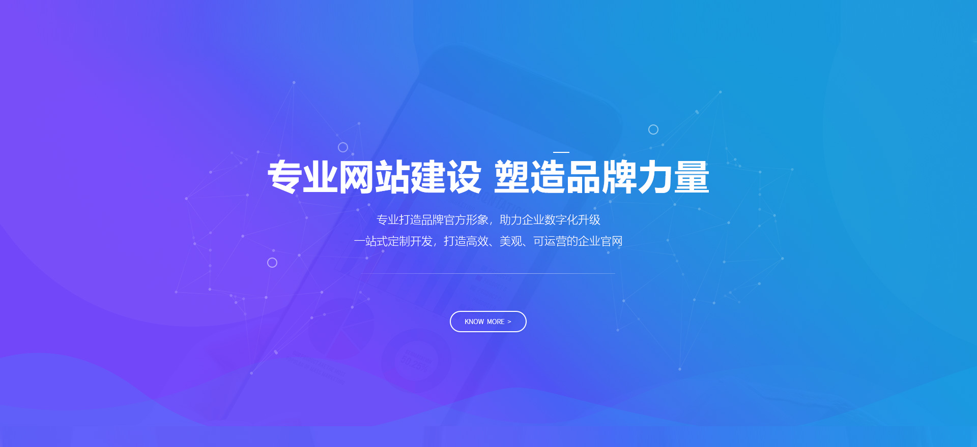 临沧建站-专业网站建设 塑造品牌力量