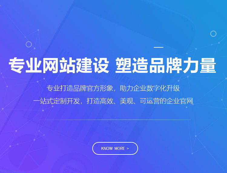 临沧建站-专业网站建设 塑造品牌力量